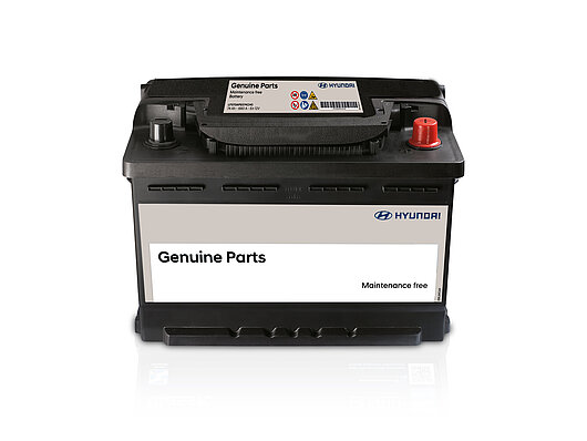 Аксесуари для автомобілів Hyundai у м. Київ | Богдан Авто - фото 7