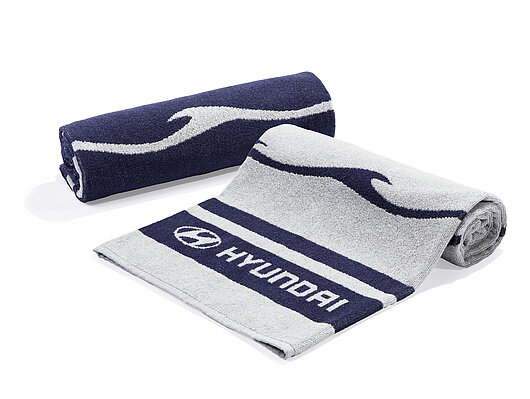 Аксесуари для автомобілів Hyundai у м. Київ | Богдан Авто - фото 7